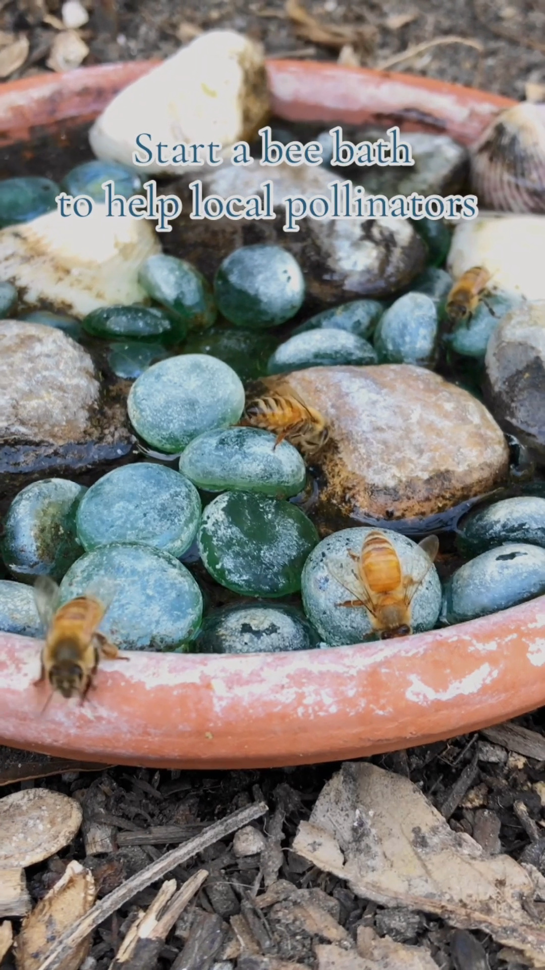 bee friendly garden ideas