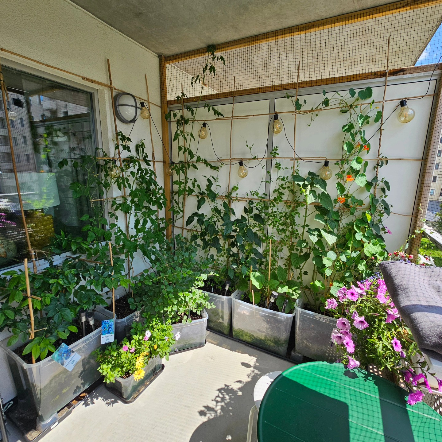 balcony garden ideas
