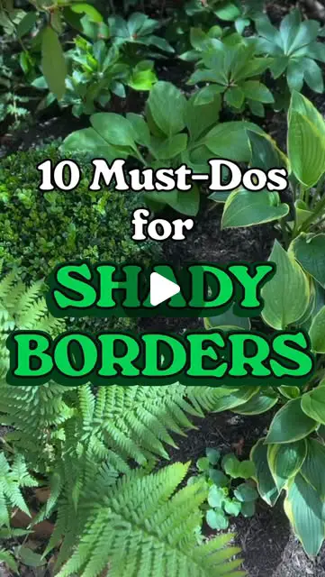 shade garden ideas