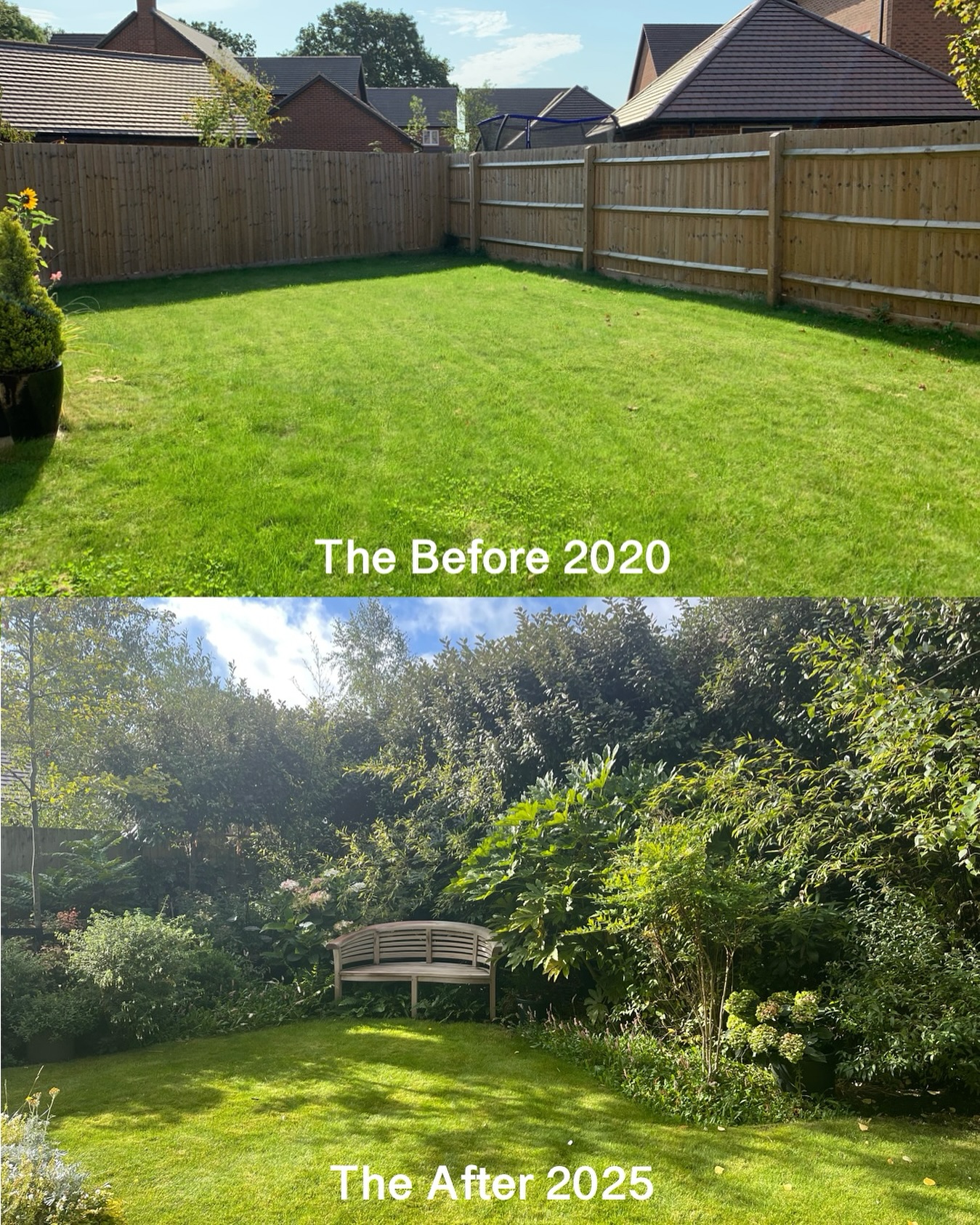25 Garden Border Ideas To Transform Your Yard: 25 Inspiring Images 2 garden border ideas