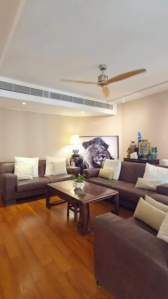 bright and airy apartment