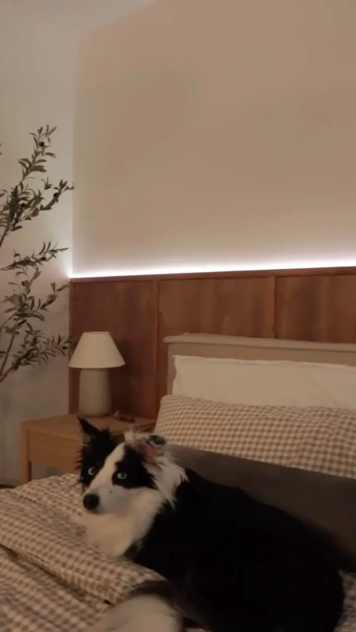 diy headboard