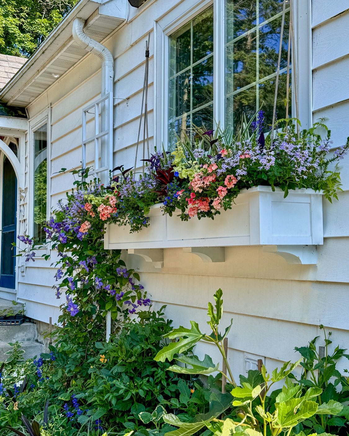 window box ideas