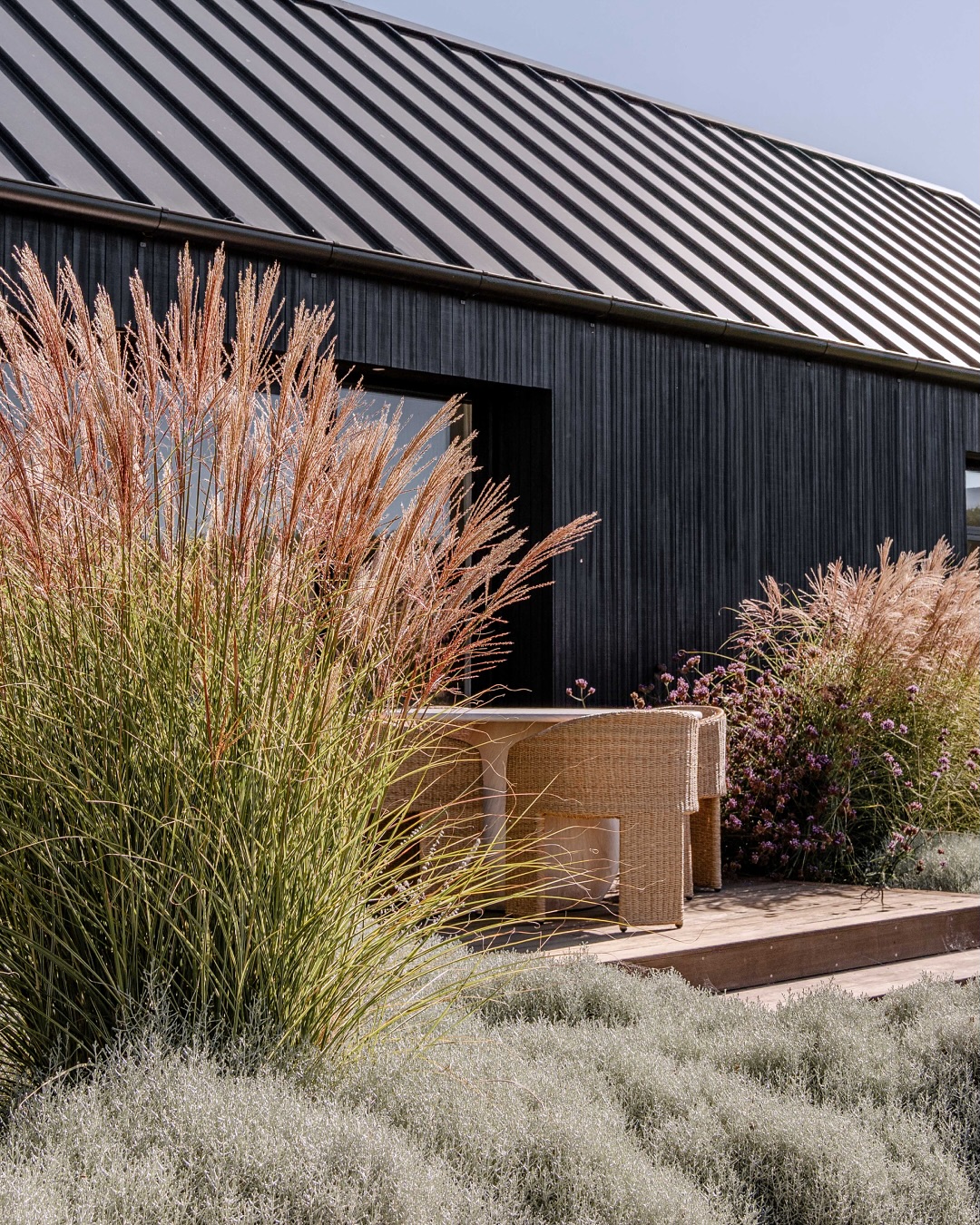 modern garden design