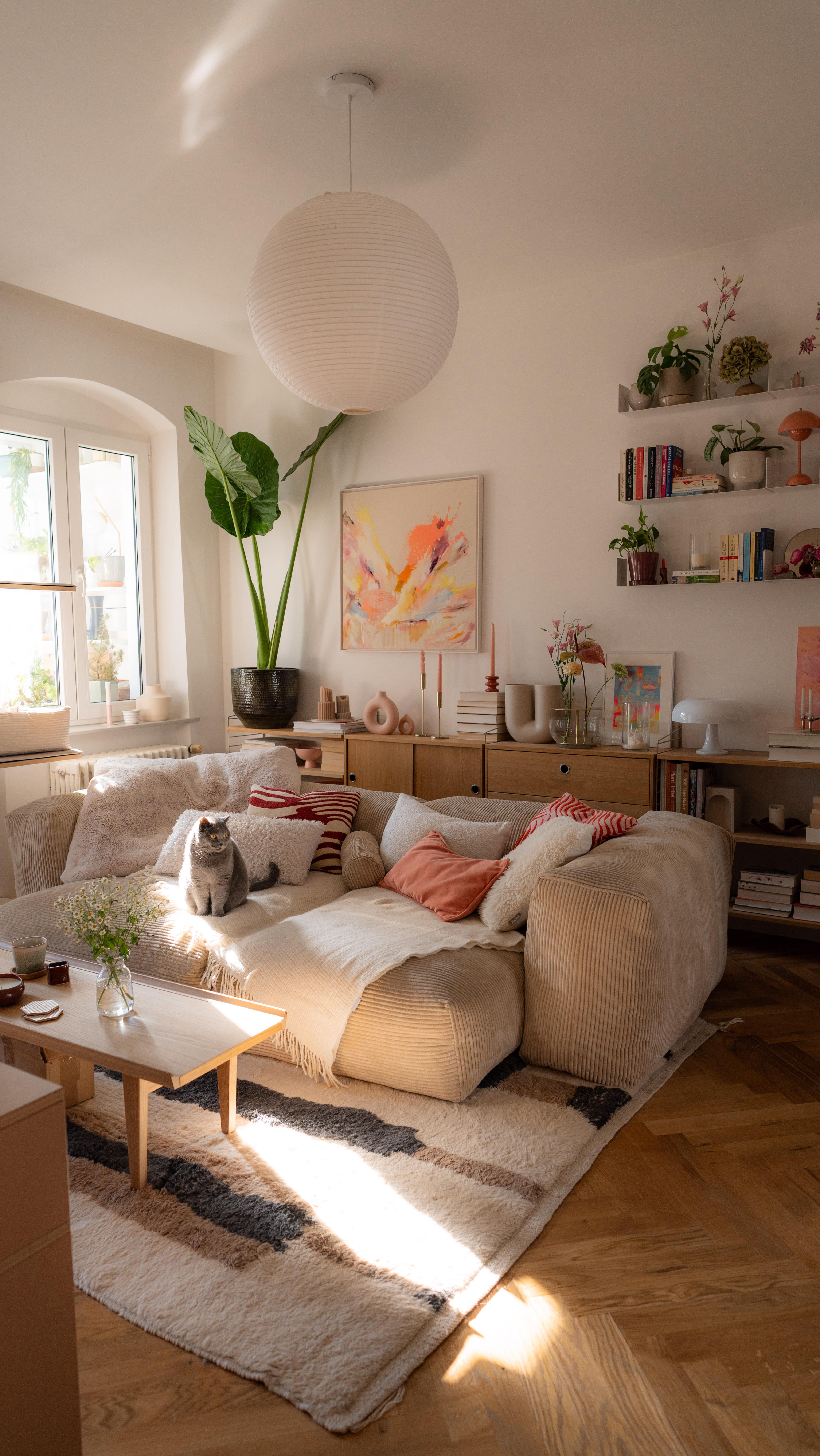 cozy dining room decor