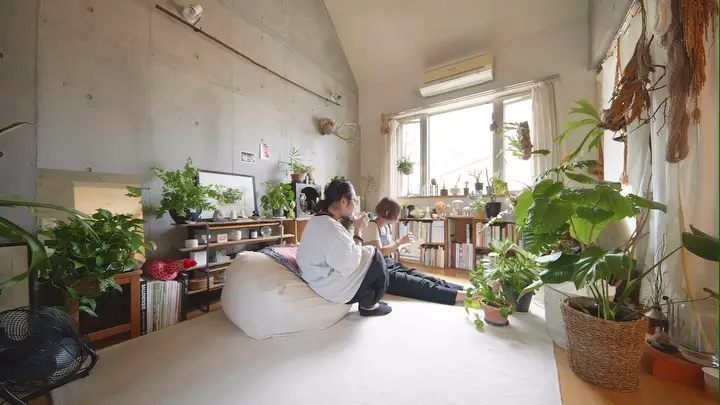 plant filled apartment
