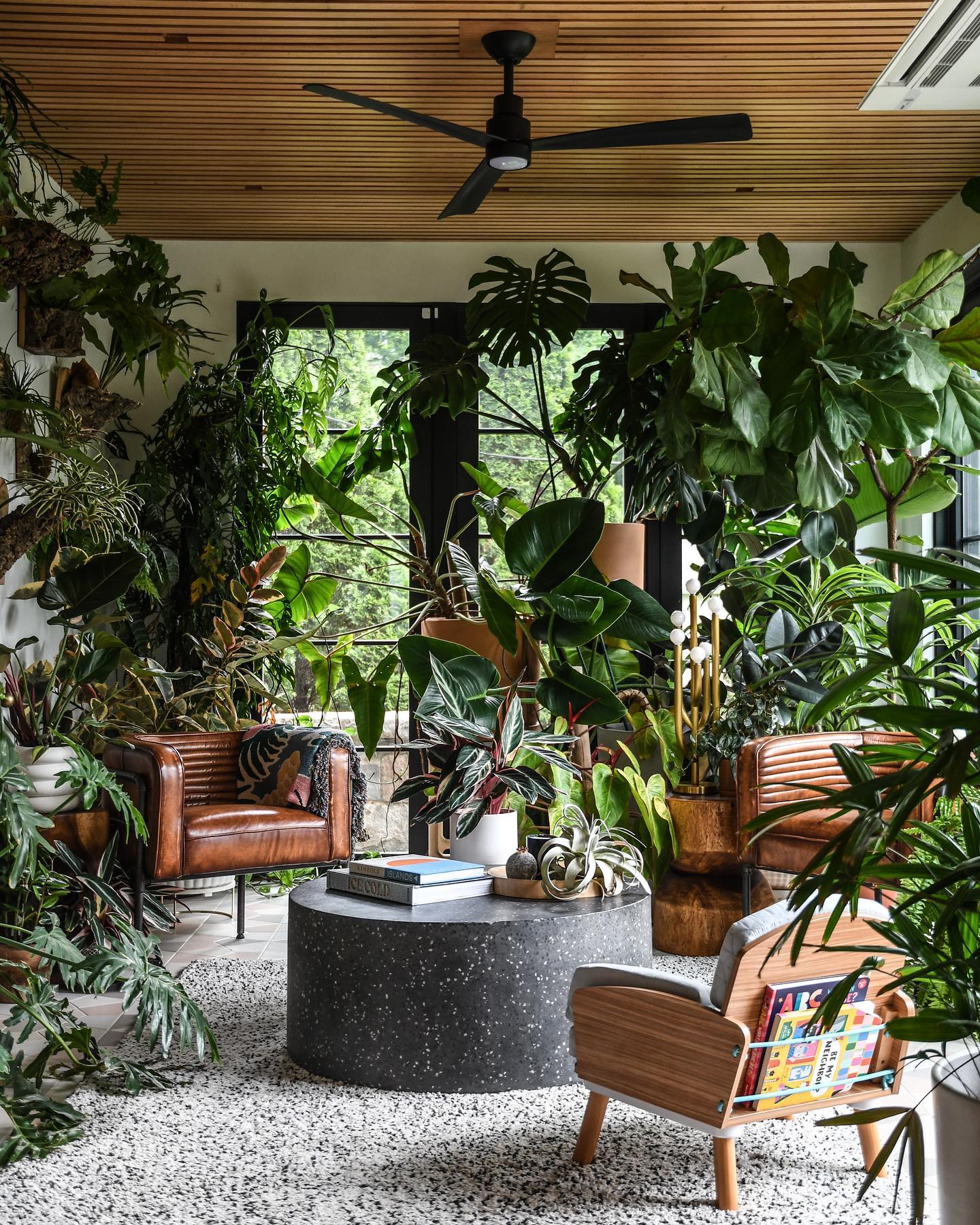 plant filled apartment