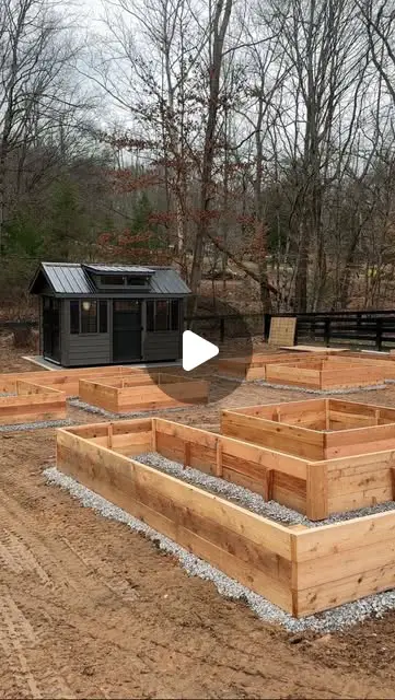vegetable garden layout