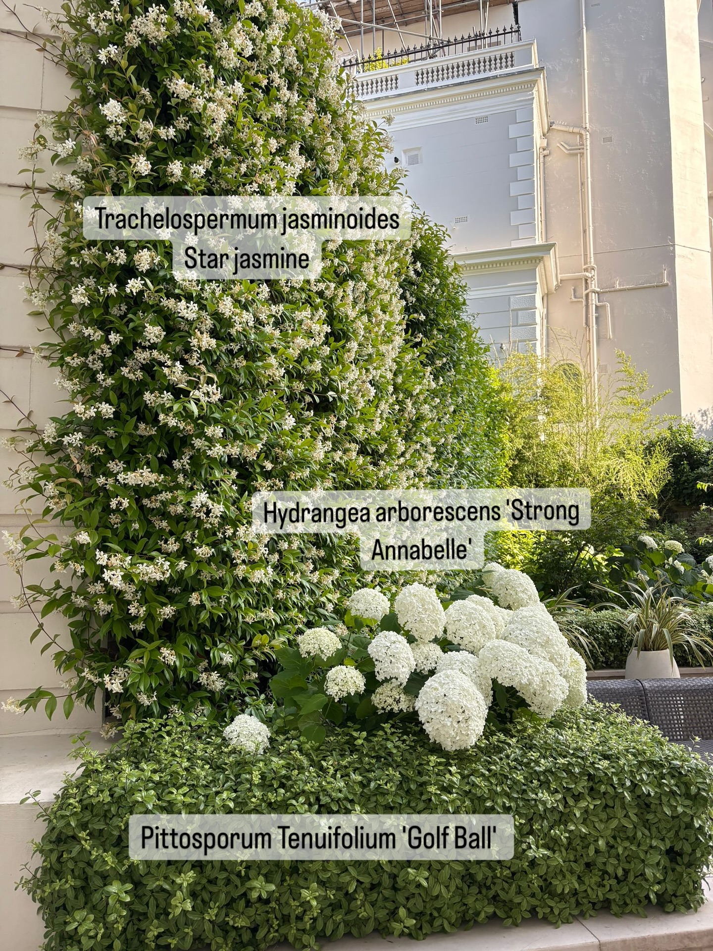 flower bed ideas
