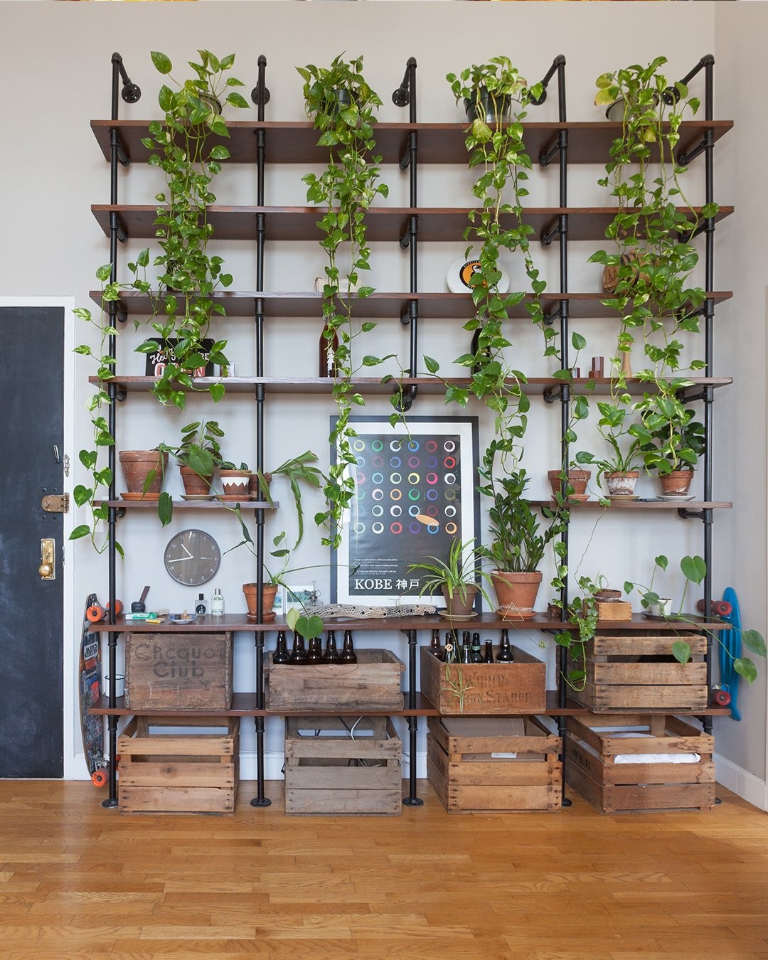 plant filled apartment