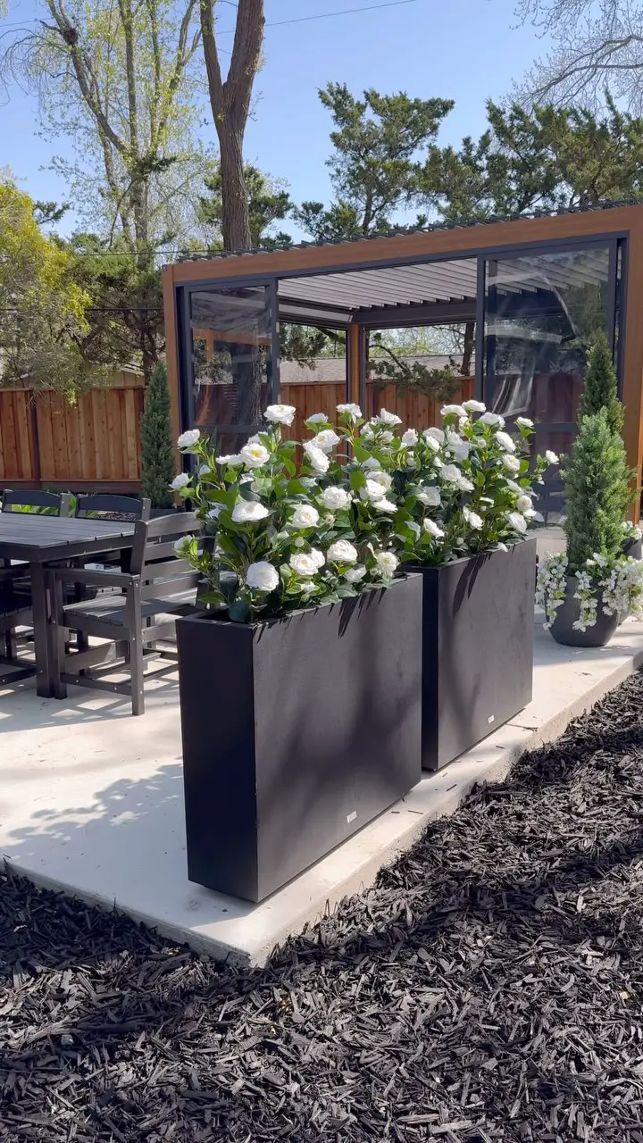 privacy garden ideas