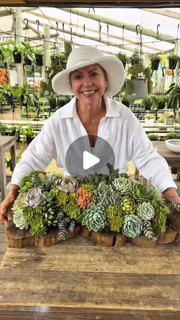 succulent garden ideas