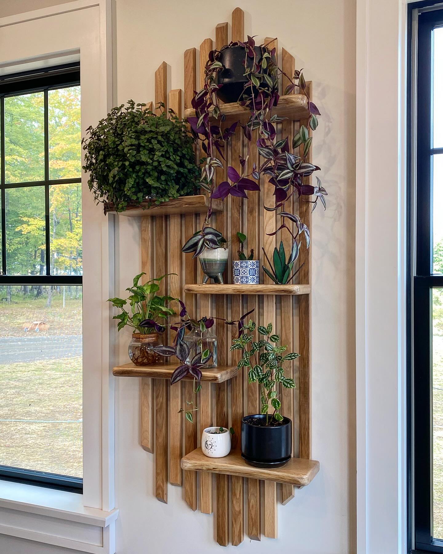 plant wall ideas
