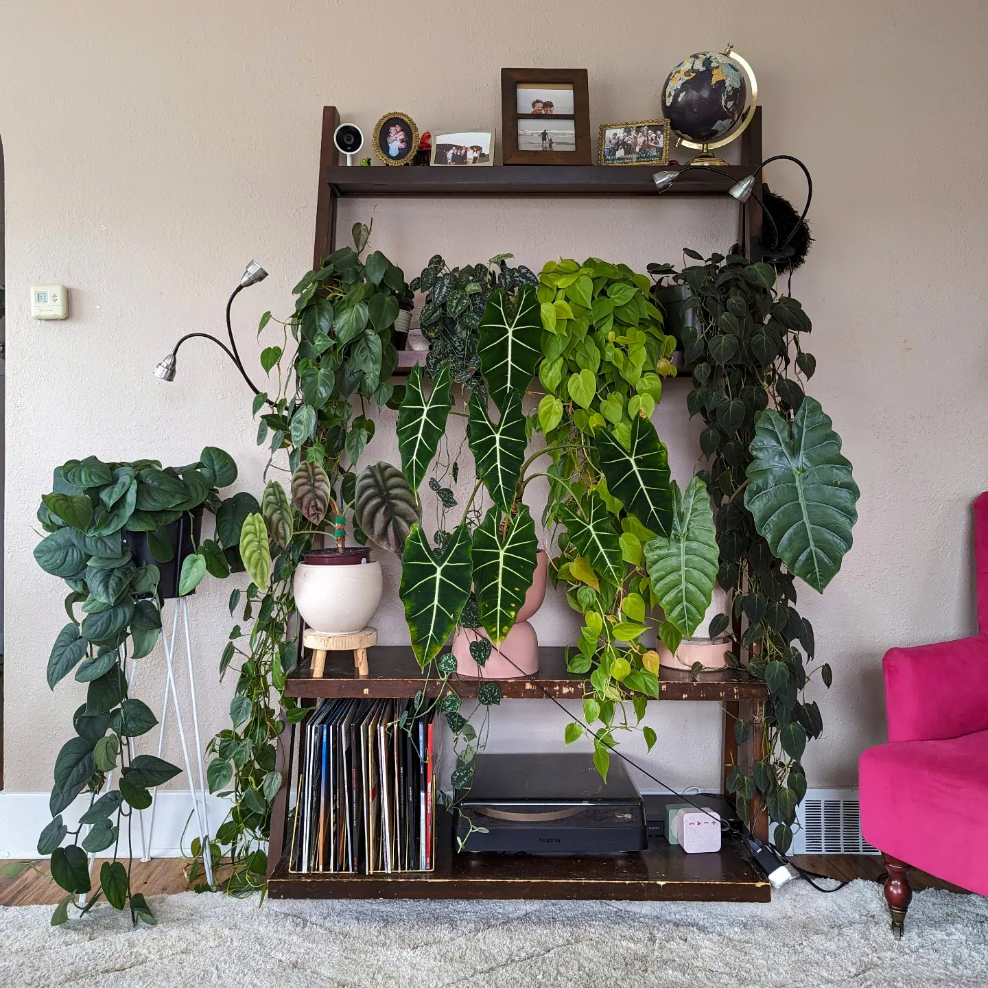 plant shelf styling