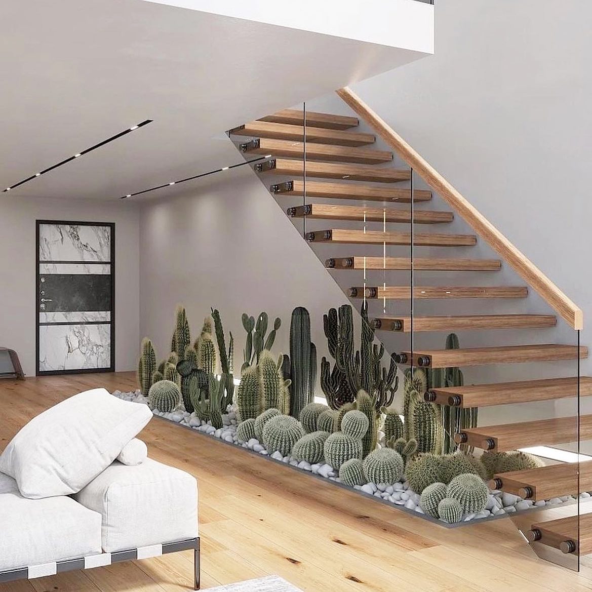 cactus garden ideas