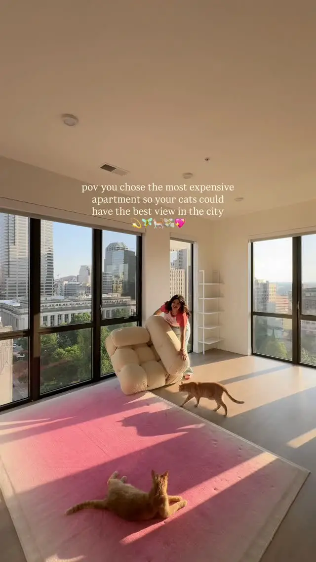 pet friendly apartment decor