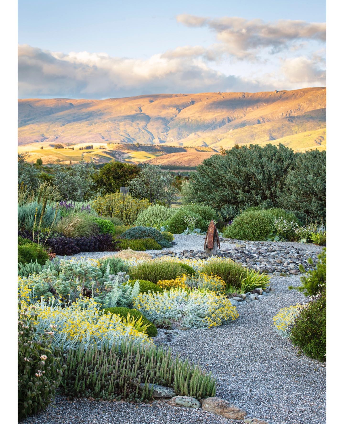 18 Drought Tolerant Garden Ideas With 18 Gorgeous Images For A Stylish Low-Water Yard 2 drought tolerant garden ideas