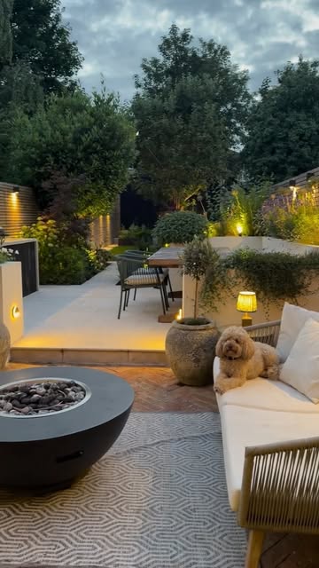 garden screening ideas