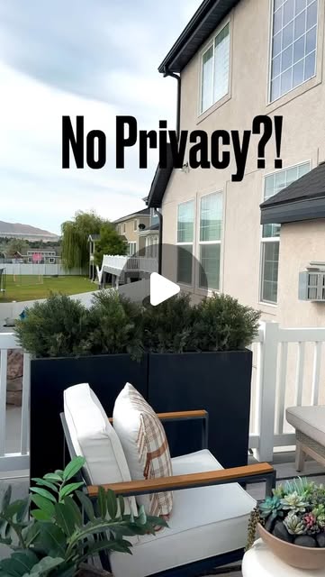 privacy garden ideas