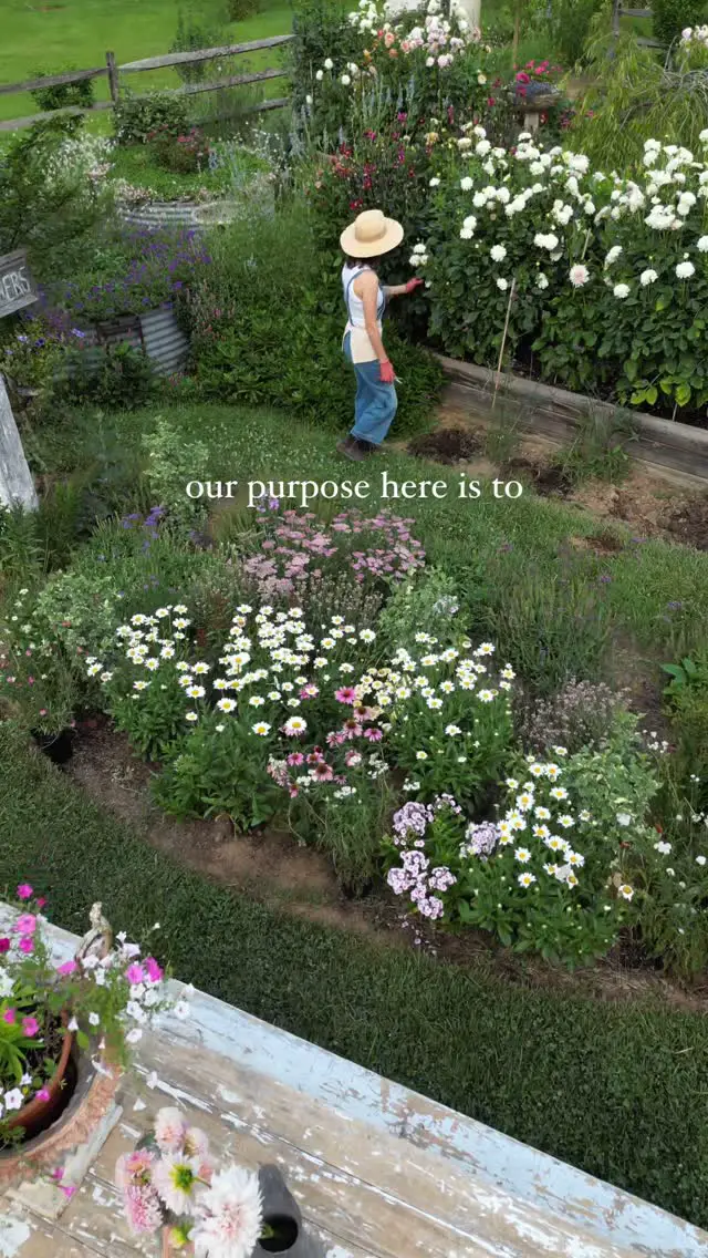 cut flower garden ideas
