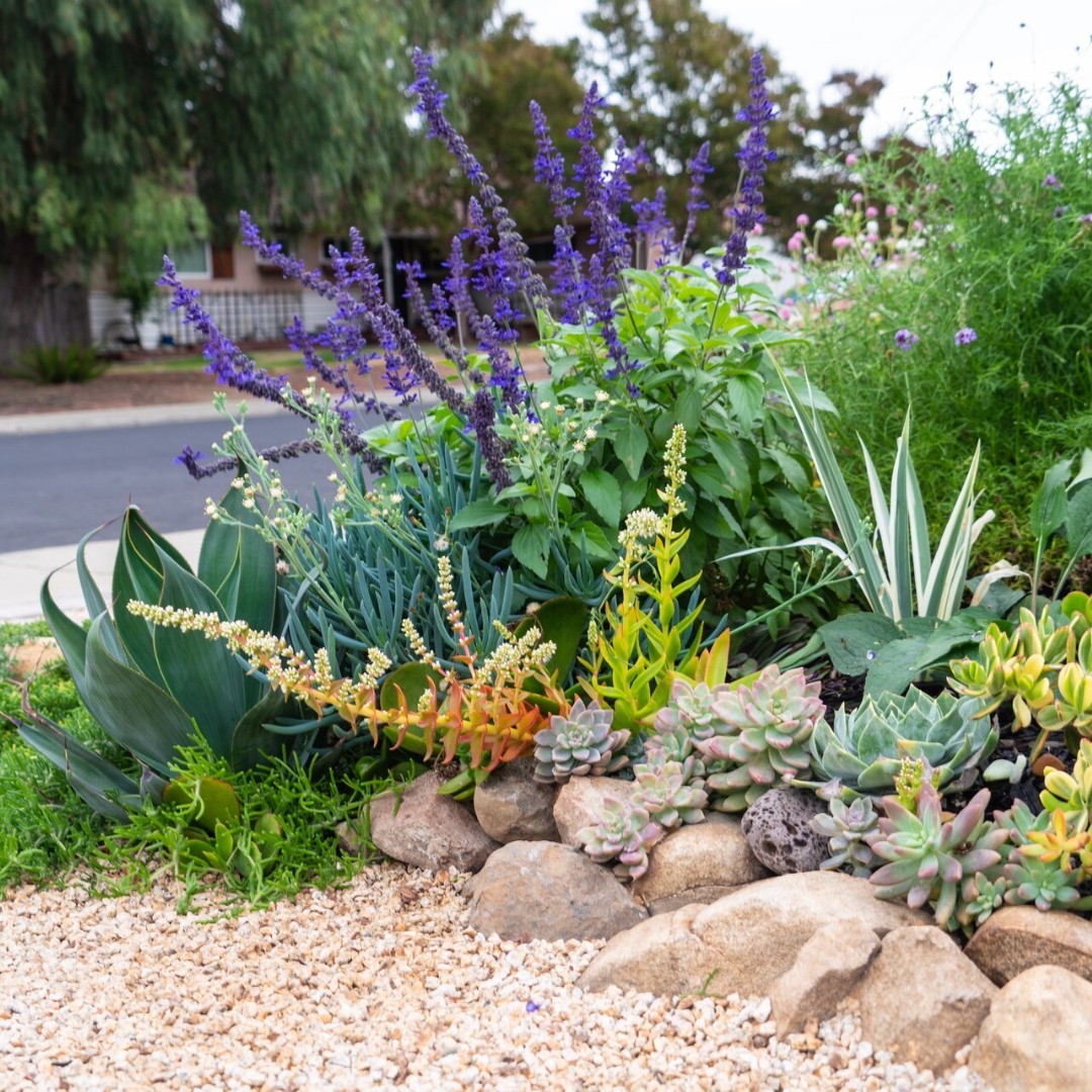 18 Drought Tolerant Garden Ideas With 18 Gorgeous Images For A Stylish Low-Water Yard 4 drought tolerant garden ideas