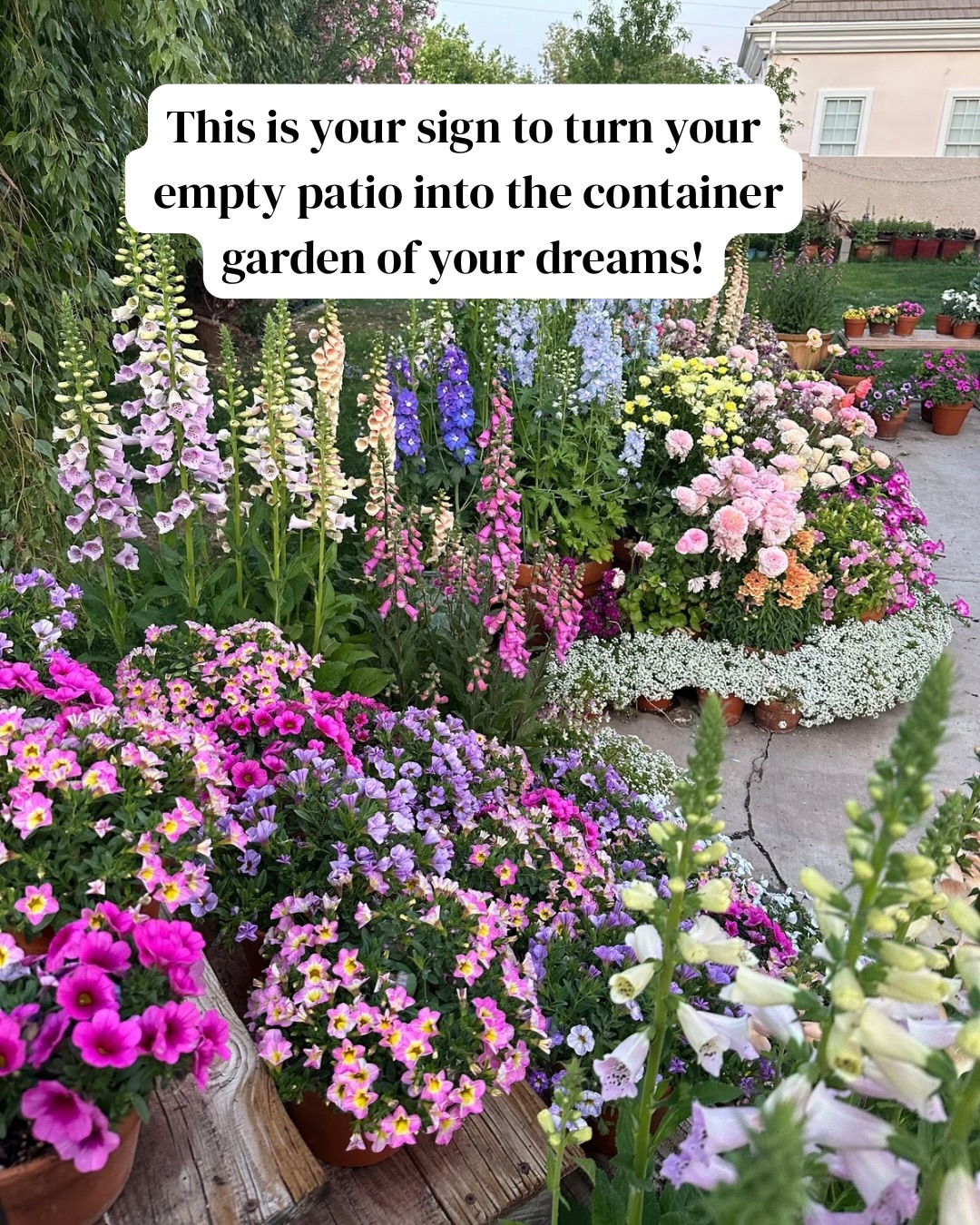 flower bed ideas