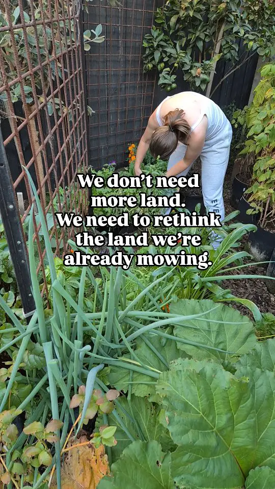 edible garden ideas