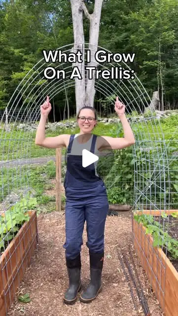 garden trellis ideas