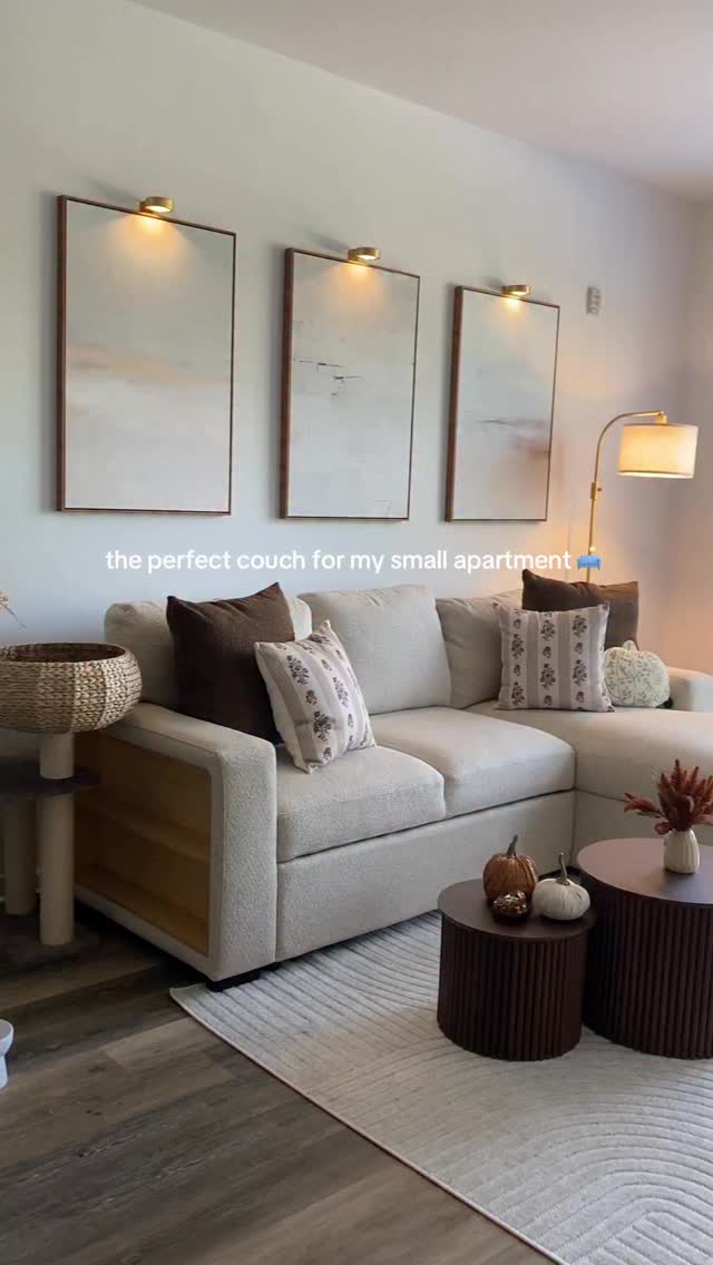 apartment couch ideas