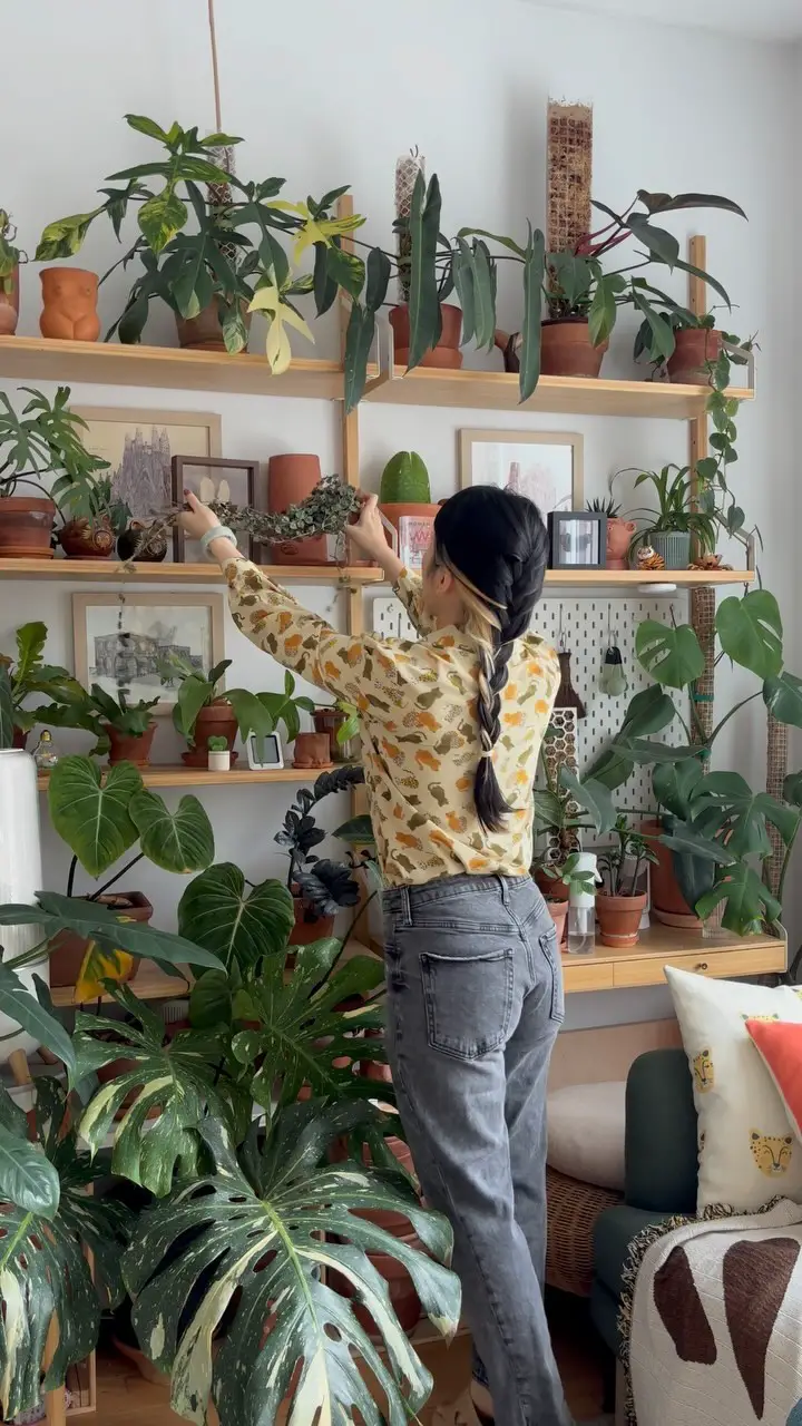 plant shelf styling