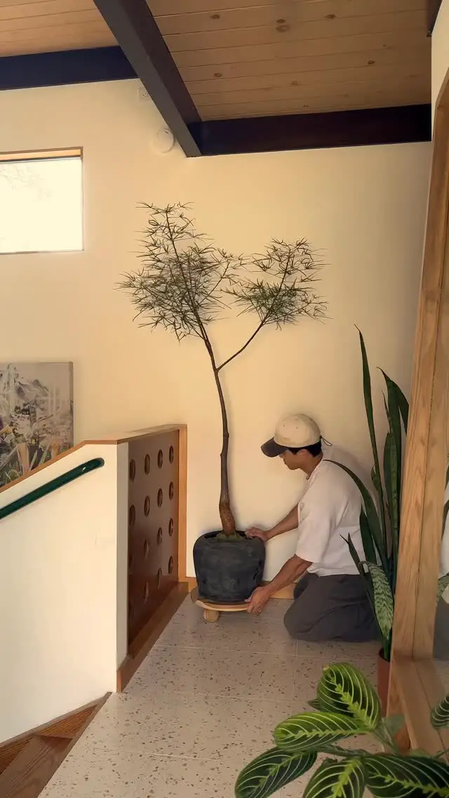 18 Indoor Plant Styling Ideas To Refresh Every Room In Your Home 1 indoor plant styling