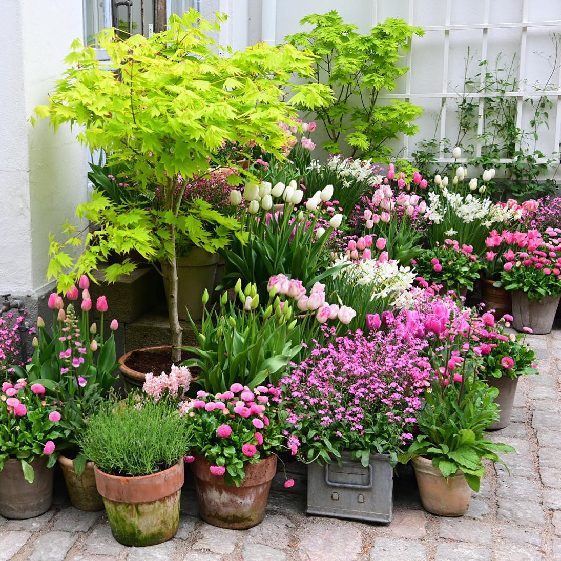 container gardening ideas