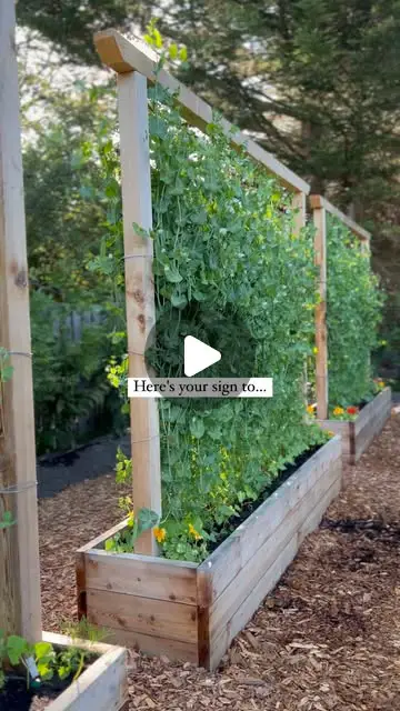 vertical garden ideas