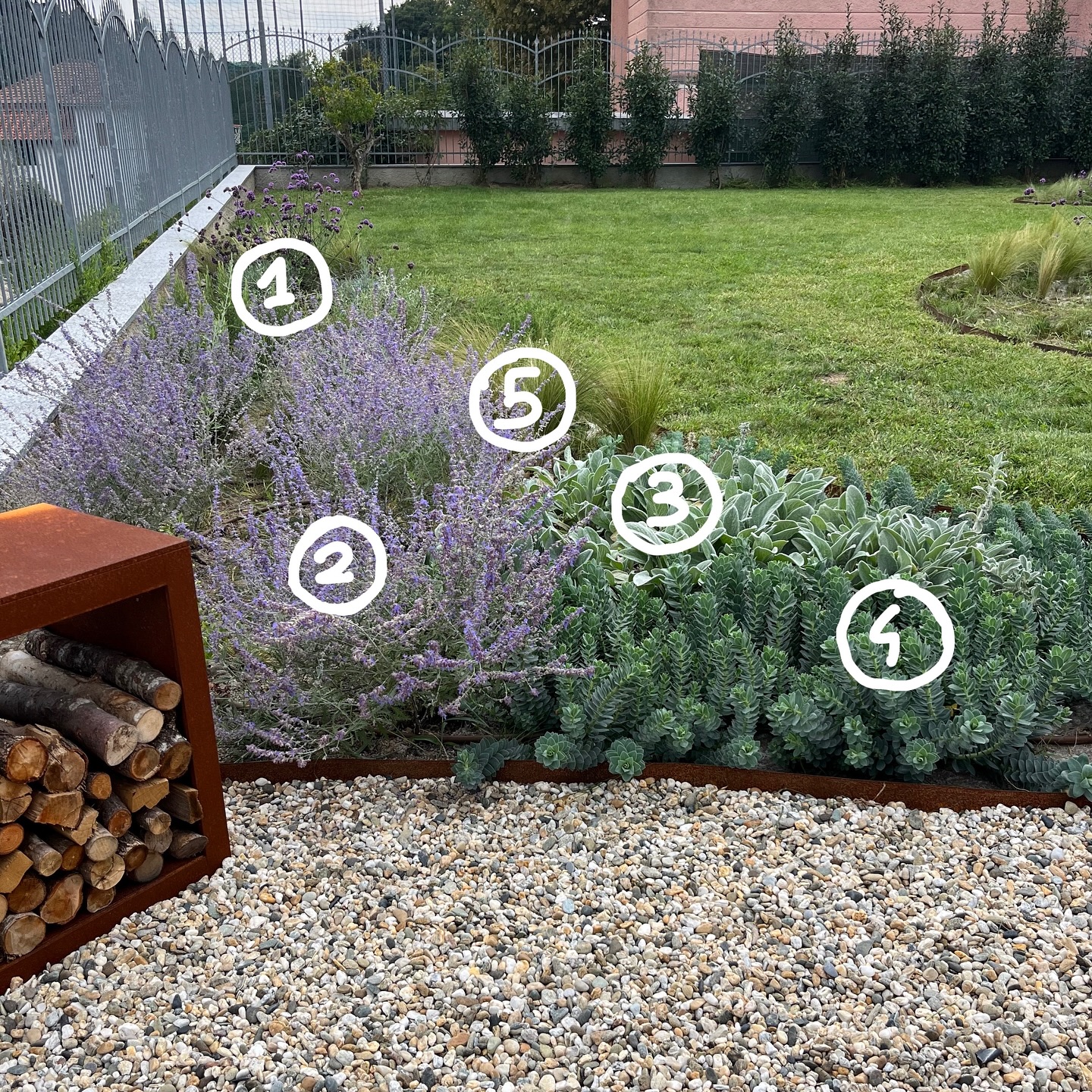 18 Drought Tolerant Garden Ideas With 18 Gorgeous Images For A Stylish Low-Water Yard 1 drought tolerant garden ideas