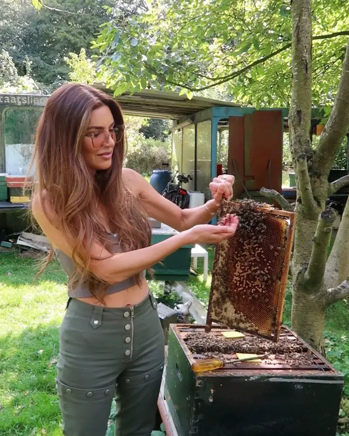bee friendly garden ideas