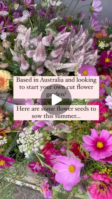 cut flower garden ideas