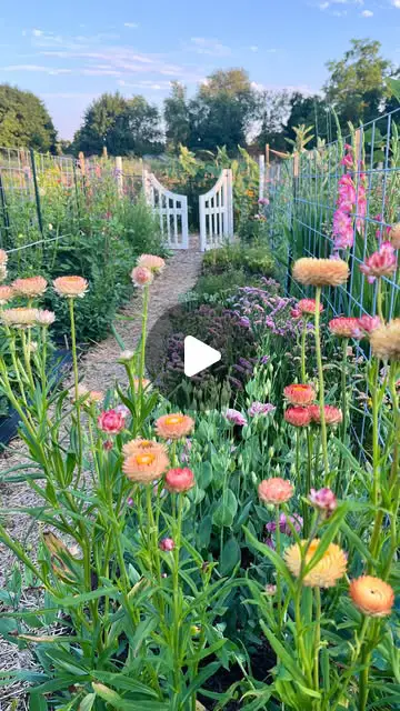 cut flower garden ideas