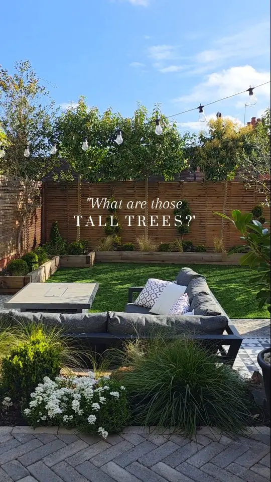 garden screening ideas