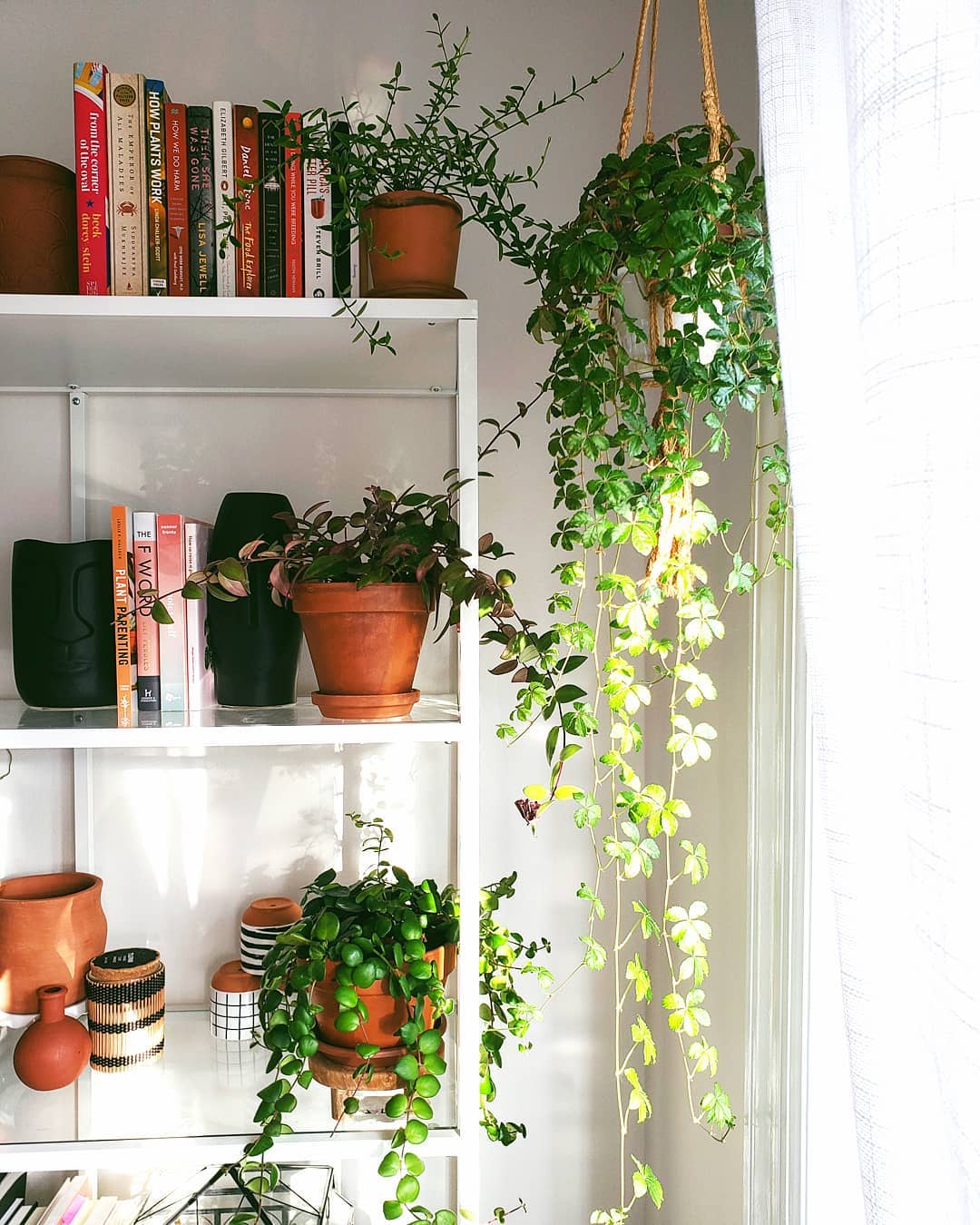 plant shelf styling