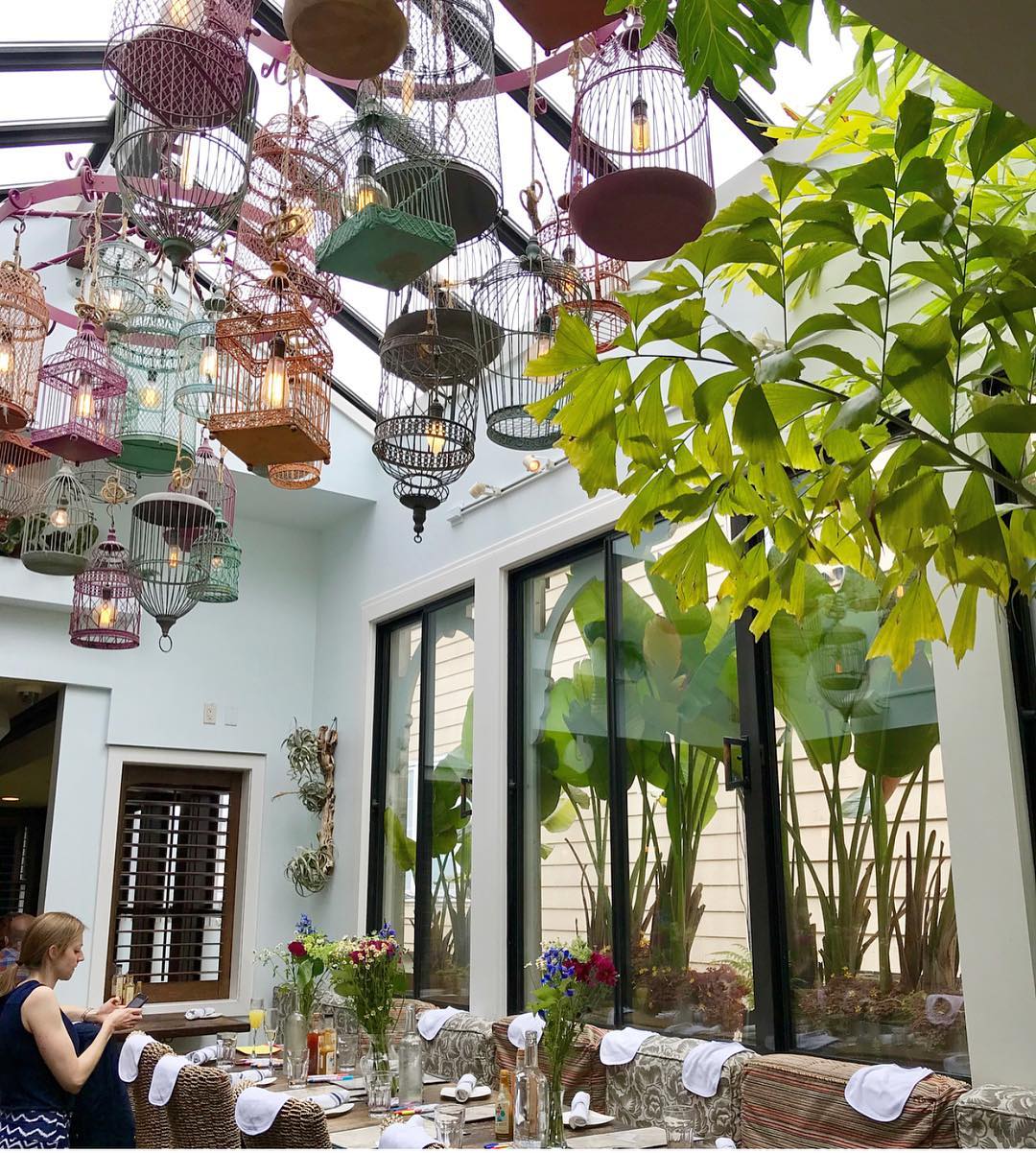 dining room plant decor