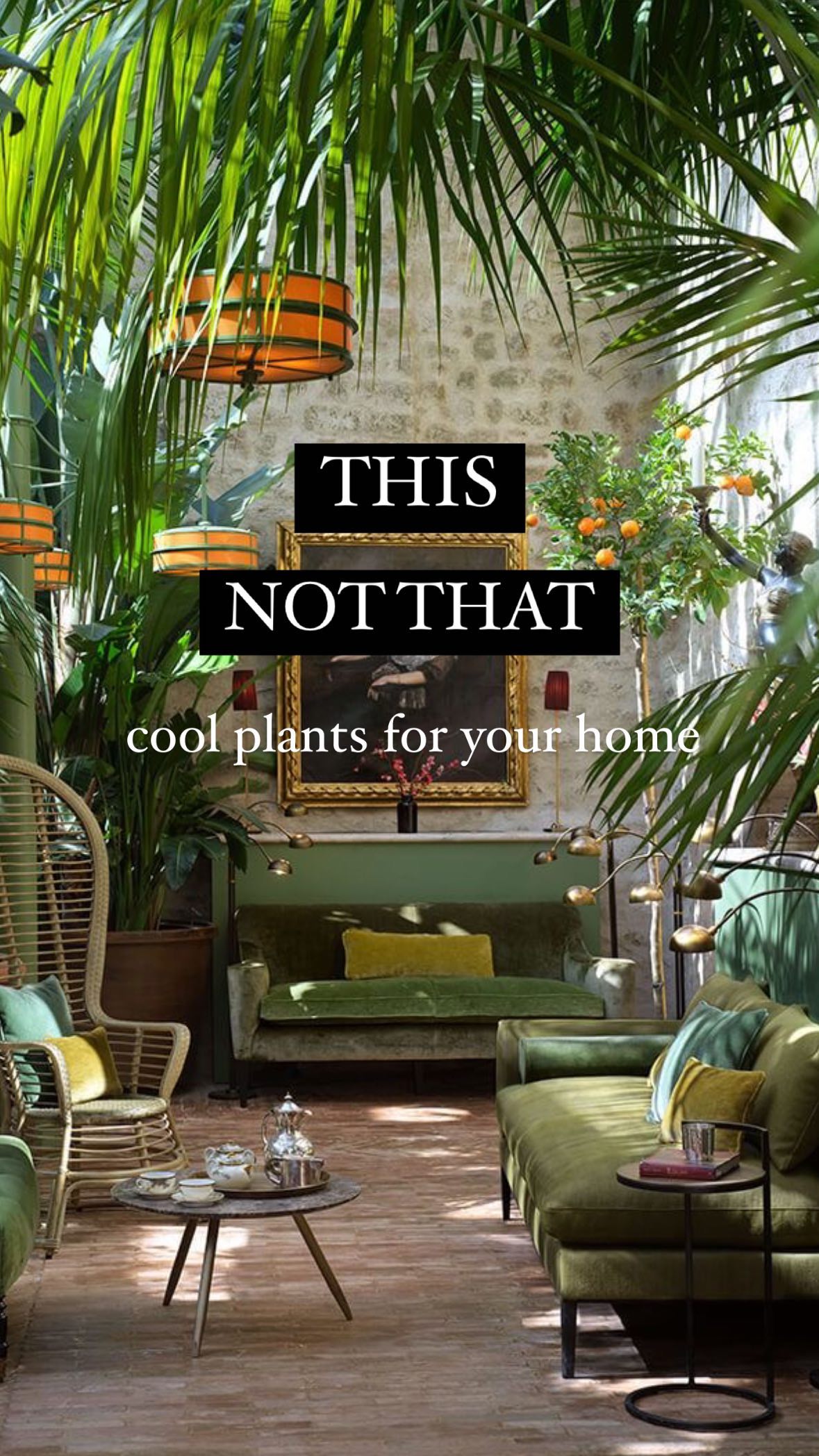 pet friendly apartment decor