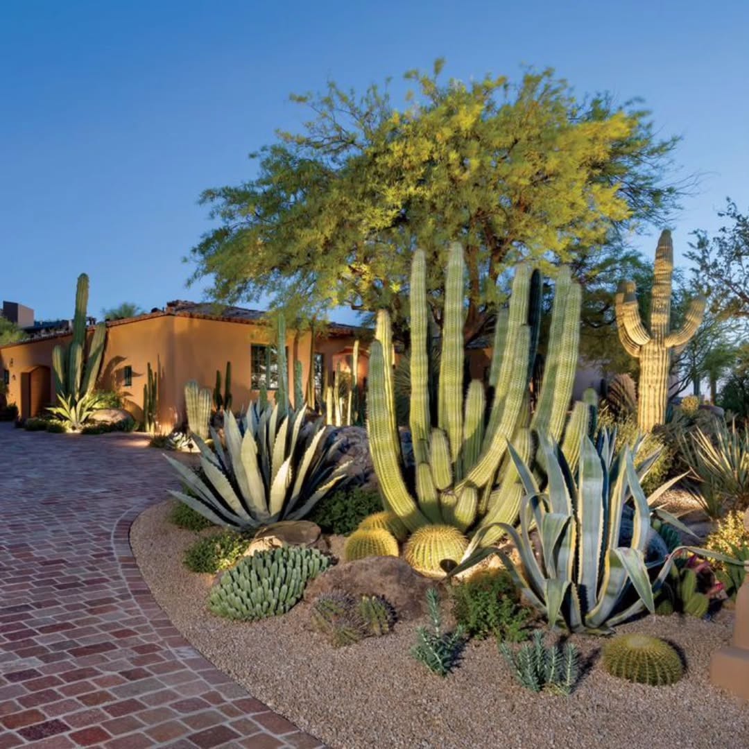cactus garden ideas