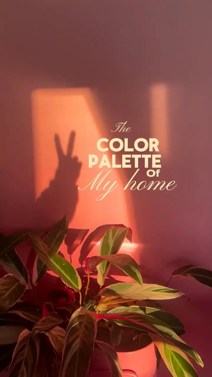 apartment color palette