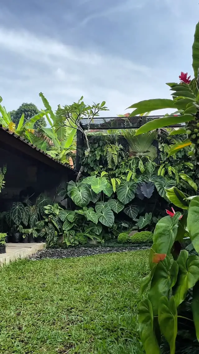 tropical garden ideas