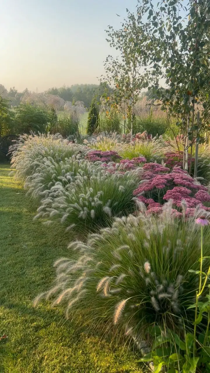 perennial garden ideas