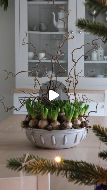 winter garden planters