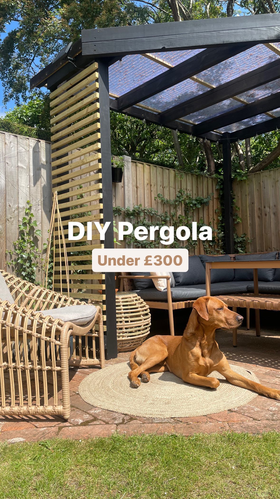budget garden ideas