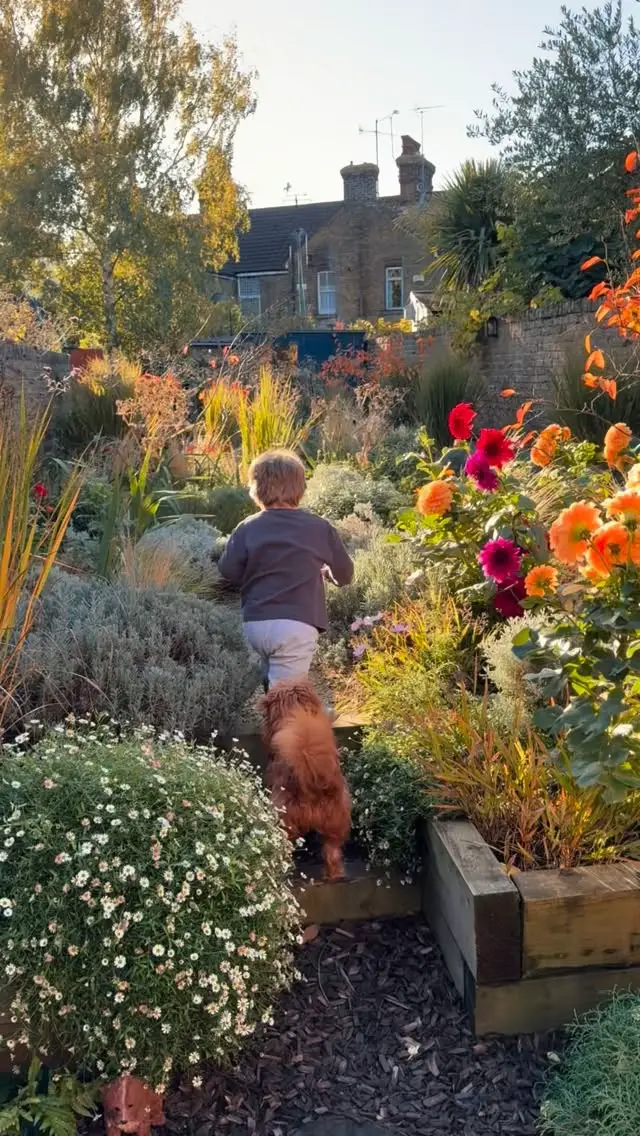 fall garden ideas