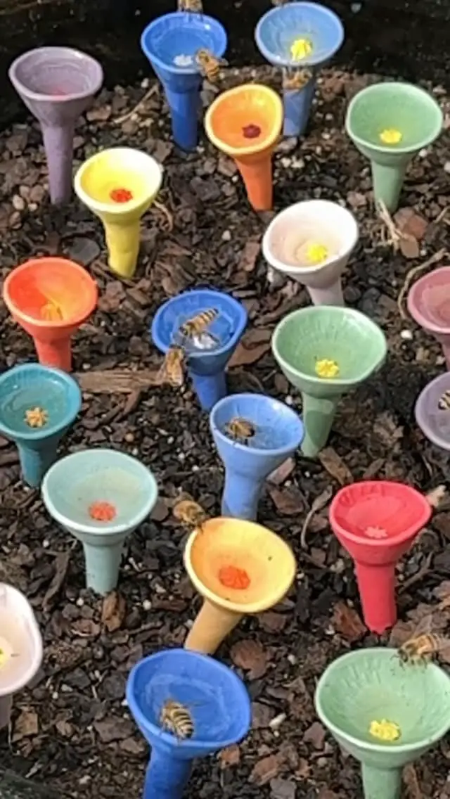 bee friendly garden ideas