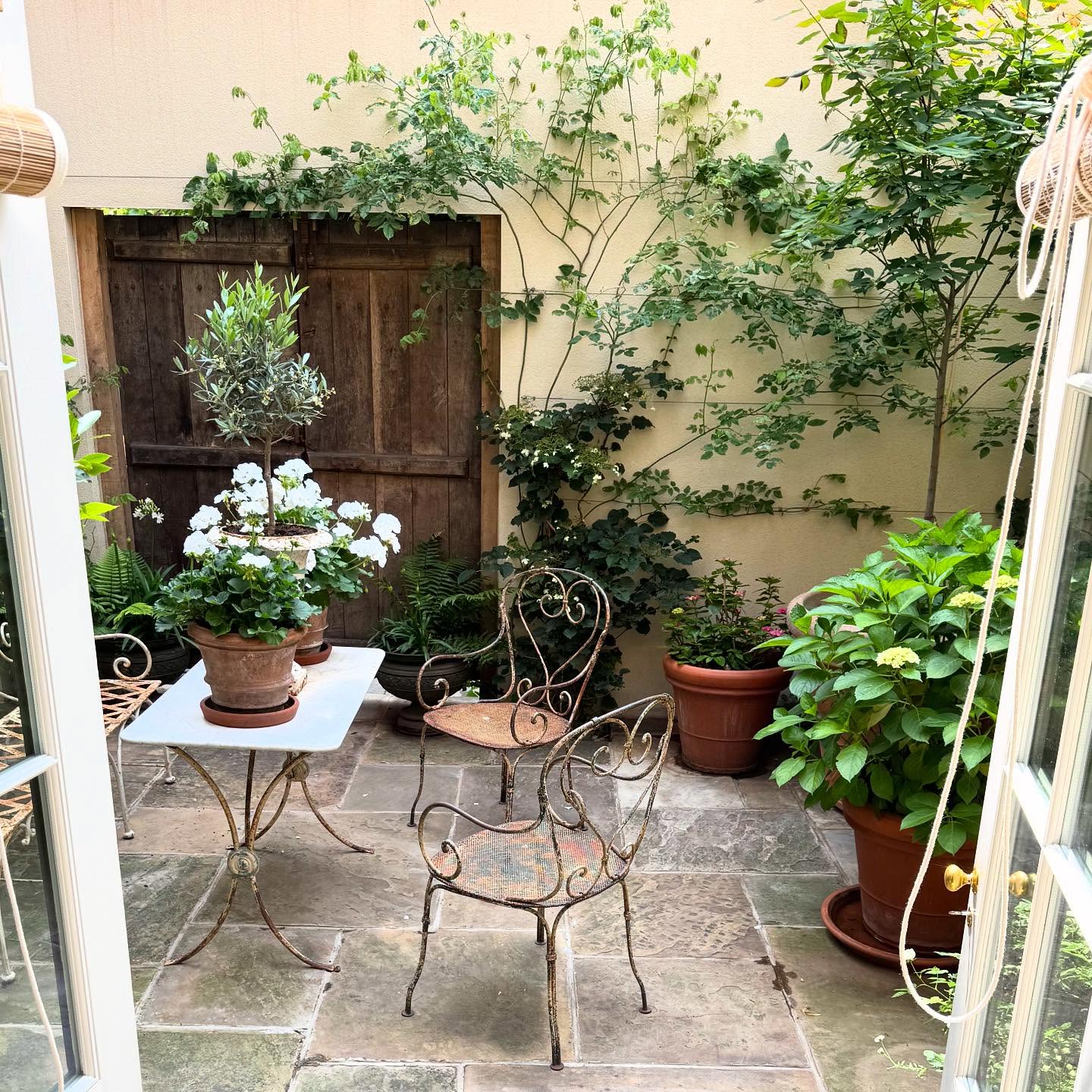 courtyard garden ideas